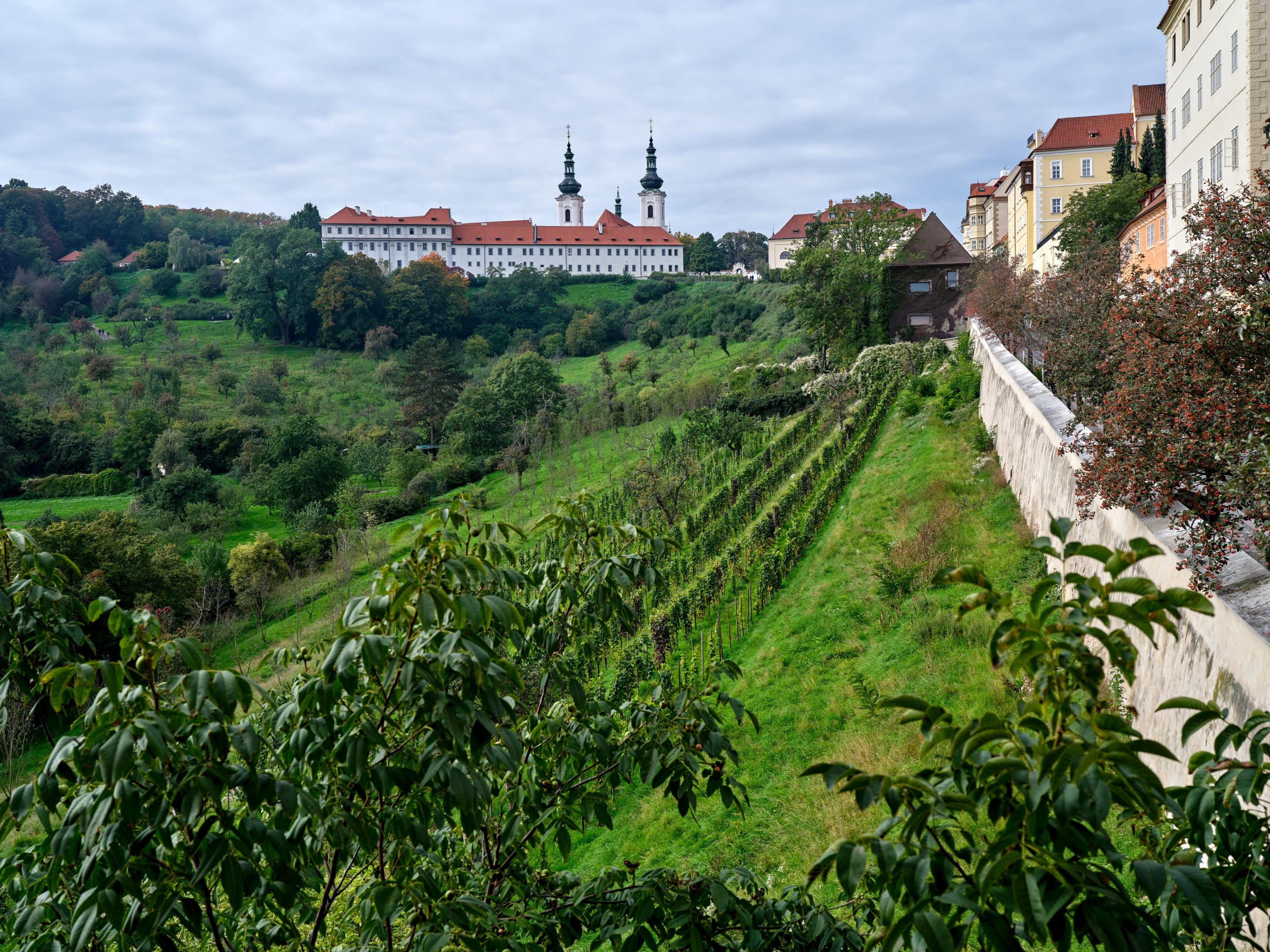 IB diploma program - view of Strahov monastery