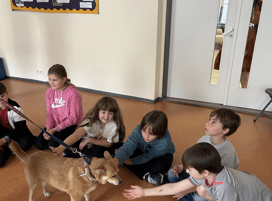 Welcoming Sundae to Our School
