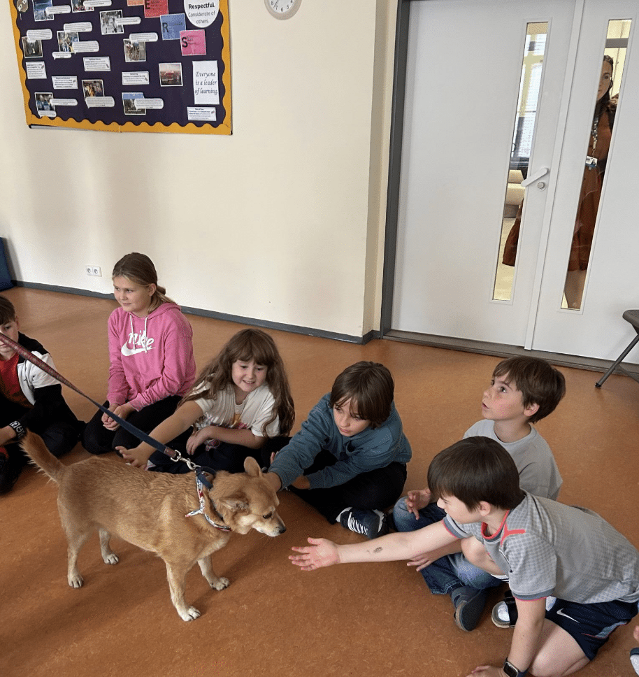Primary school students listening attentively during a school presentation about emotional support dogs.